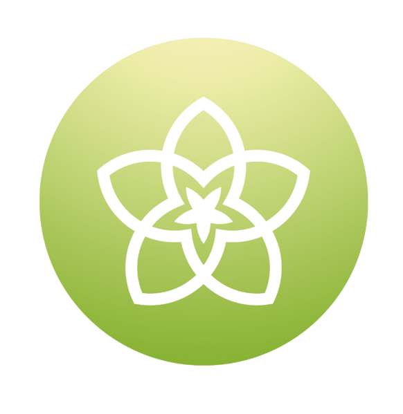 File:Spring logoficha.png